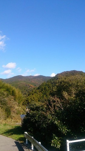 平山の風景