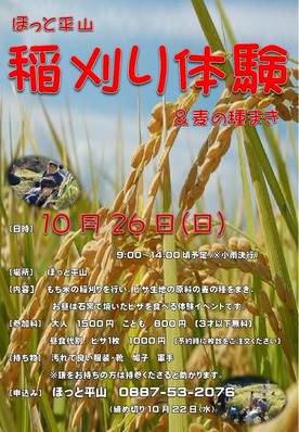 稲刈り＆麦の種まき