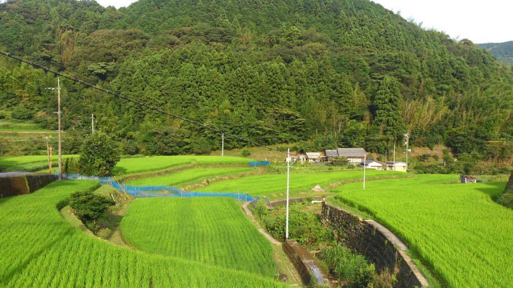 平山ってこんな所です☆ ほっと平山